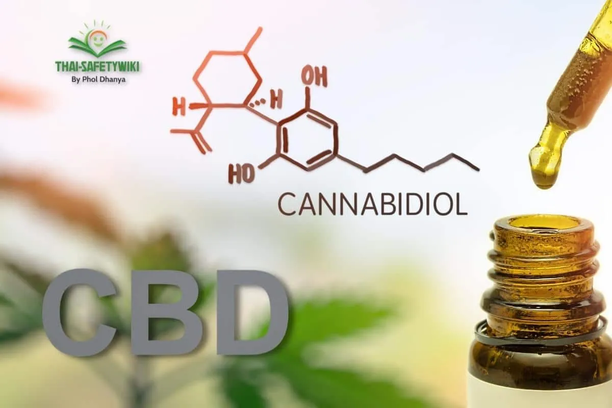 CBD