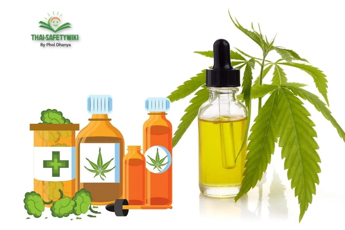 สาร THC และ CBD จากกัญชามีผลอย่างไรกับร่างกาย