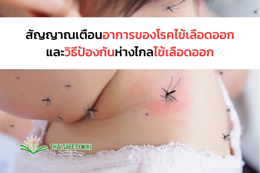 สัญญาณเตือนอาการของโรคไข้เลือดออกและวิธีป้องกันห่างไกลไข้เลือดออก