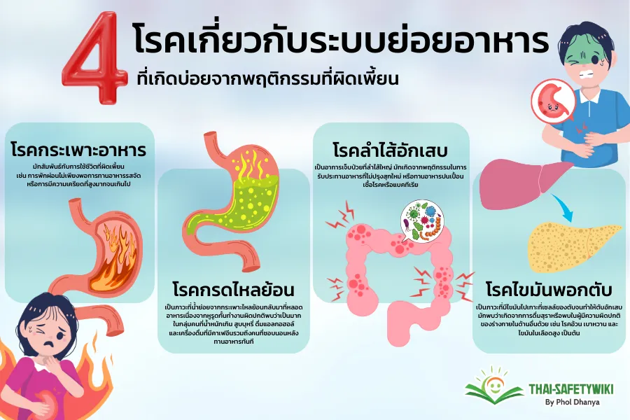 อาหารทานแล้วไปไหน? ตอบข้อสงสัยระบบย่อยอาหารของคนเราทำงานอย่างไร