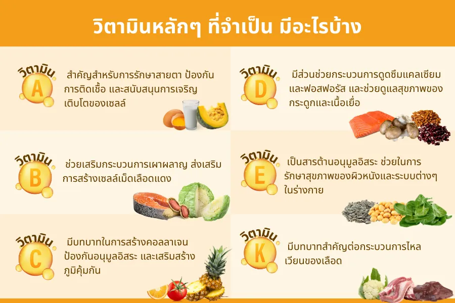 การกินวิตามิน สำคัญแค่ไหนกับการดูแลสุขภาพ