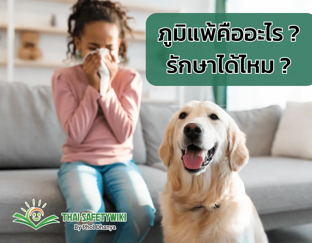 ภูมิแพ้คืออะไร? รักษาได้ไหม?