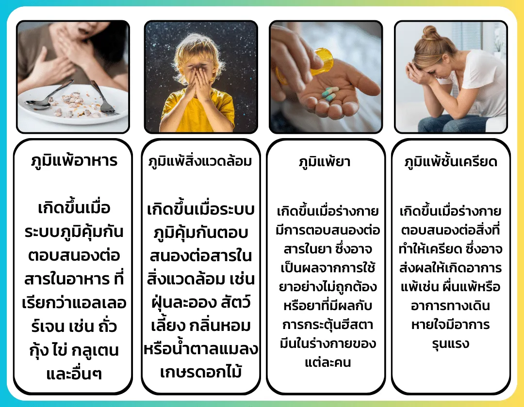 ภูมิแพ้คืออะไร? รักษาได้ไหม?