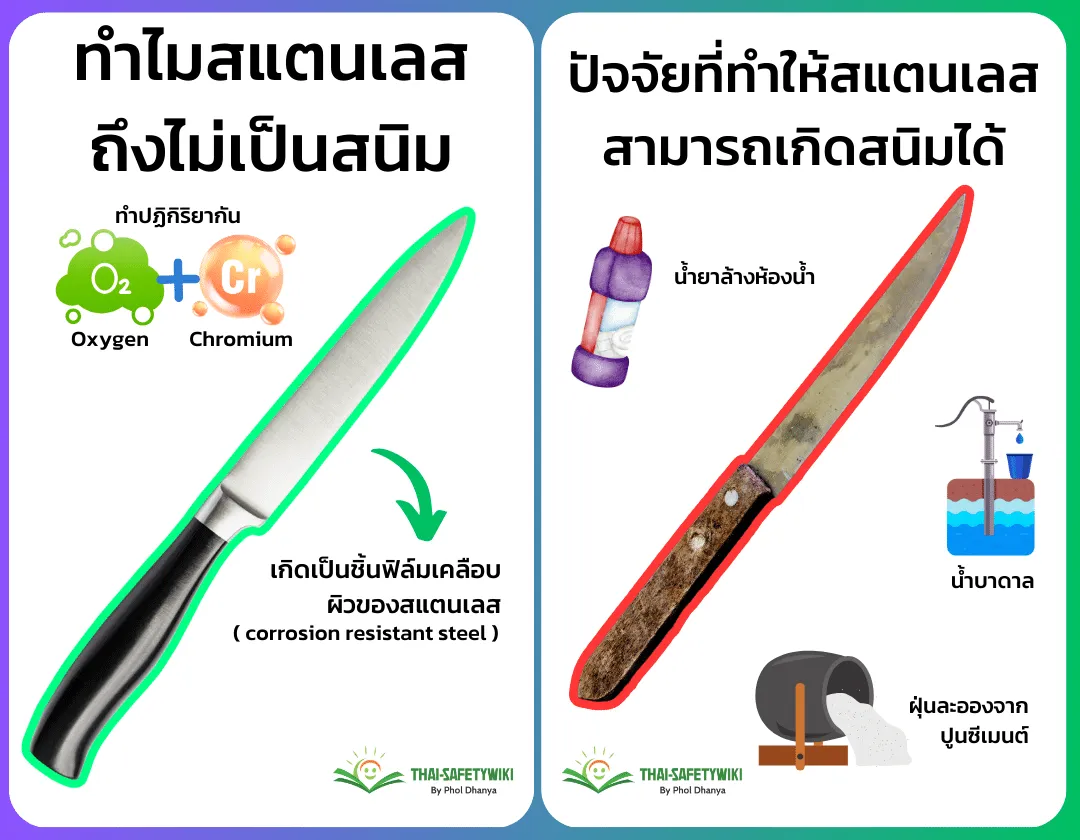 สแตนเลสขึ้นสนิมได้มั้ย ความแตกต่างของเกรดสแตนเลส