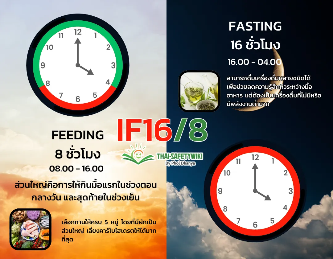 การลดน้ำหนัดด้วยวิธีการ IF