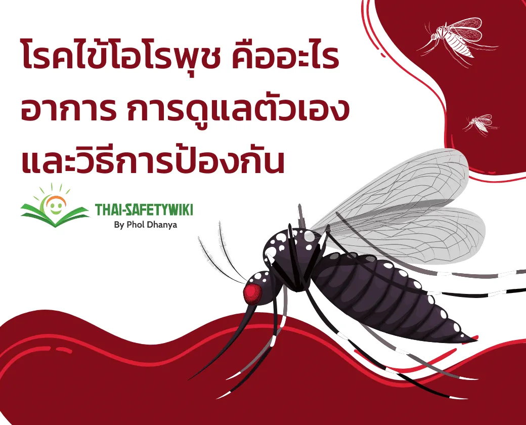 โรคไข้โอโรพุช คืออะไร อาการ การดูแลตัวเองและวิธีการป้องกัน