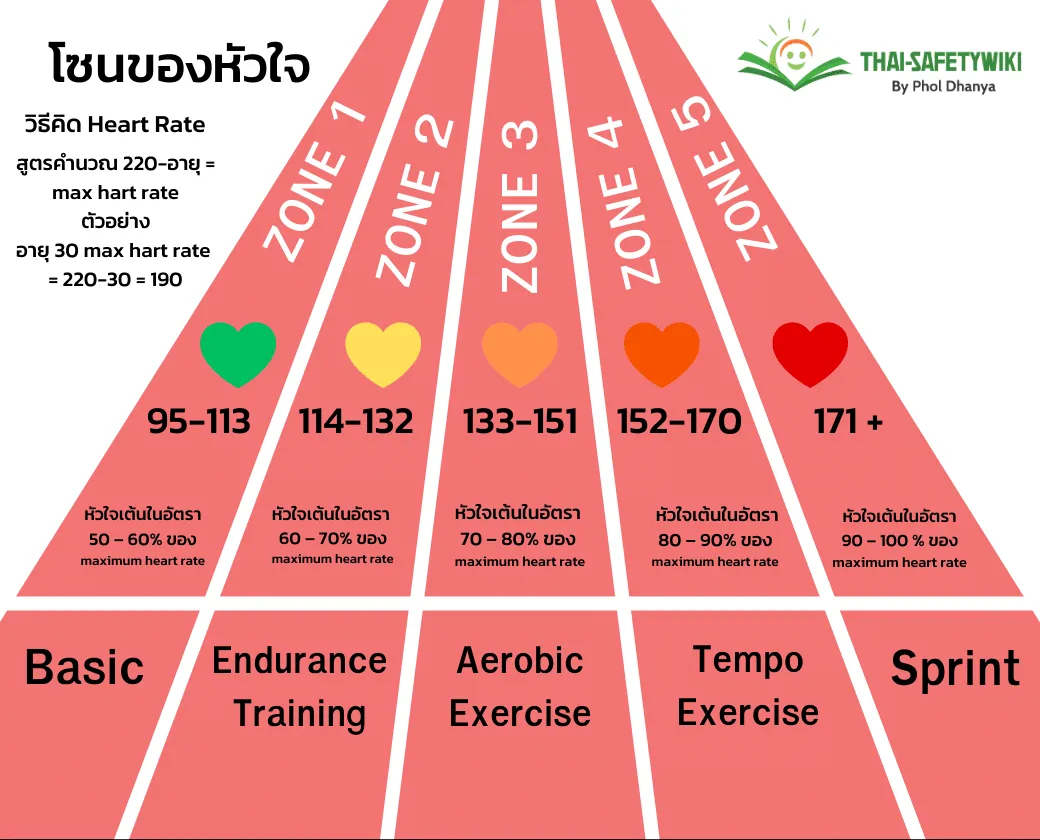 ประโยชน์ของการออกกำลังกายในแต่ละ Zone อย่างละเอียด: กุญแจสู่สุขภาพและความฟิตสมบูรณ์