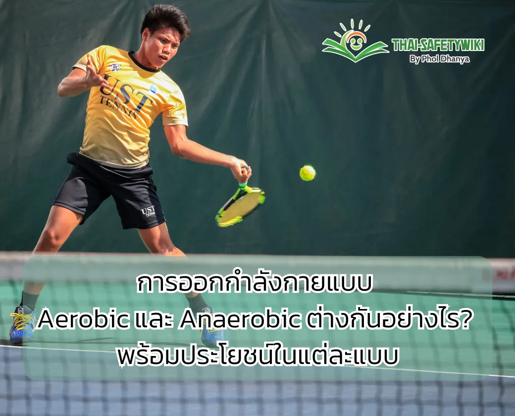 การออกกำลังกายแบบ Aerobic และ Anaerobic ต่างกันอย่างไร? พร้อมประโยชน์ในแต่ละแบบ