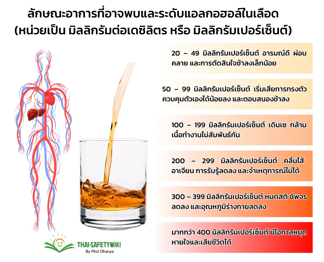 เหล้าหรือเครื่องดื่มที่มีแอลกอฮอล์ทำร้ายร่างกายอย่างไร? รู้ทันก่อนสุขภาพพัง!