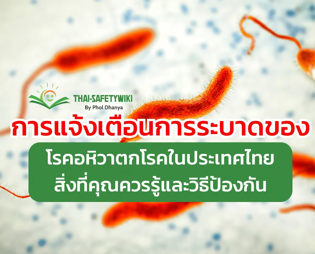 การแจ้งเตือนการระบาดของโรคอหิวาตกโรคในประเทศไทย: สิ่งที่คุณควรรู้และวิธีป้องกัน