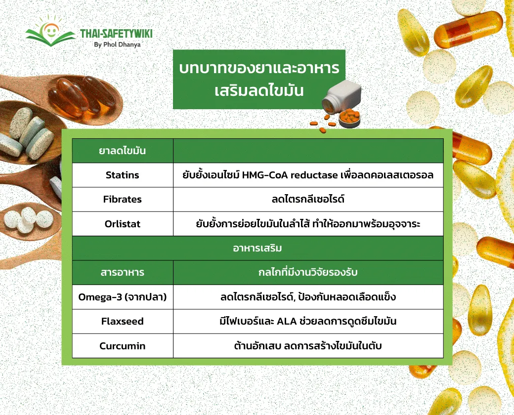 รู้ลึก รู้จริง เข้าใจให้ถูกต้องเรื่องไขมัน เพื่อสุขภาพระยะยาว
