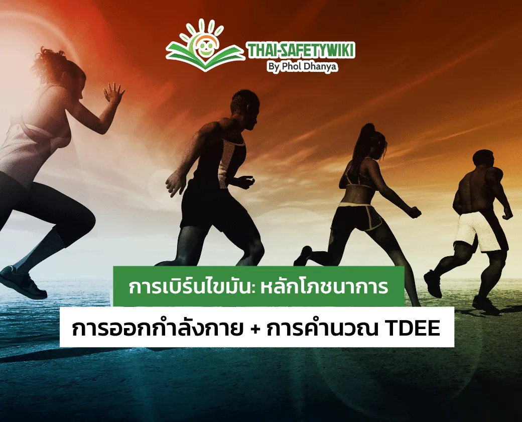 การเบิร์นไขมัน: หลักโภชนาการ + การออกกำลังกาย + การคำนวณ TDEE